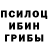 Галлюциногенные грибы Psilocybine cubensis MrRoverHP