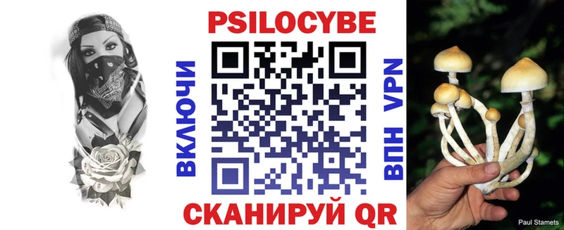 где продают наркотики  Дивногорск  hydra онион  Псилоцибиновые грибы ЛСД 