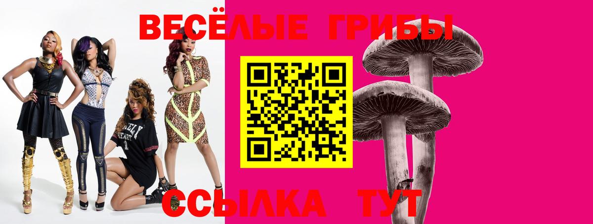Дивногорск  Псилоцибиновые грибы Psilocybe  Вход с VPN  Галлюциногенные грибы мицелий 